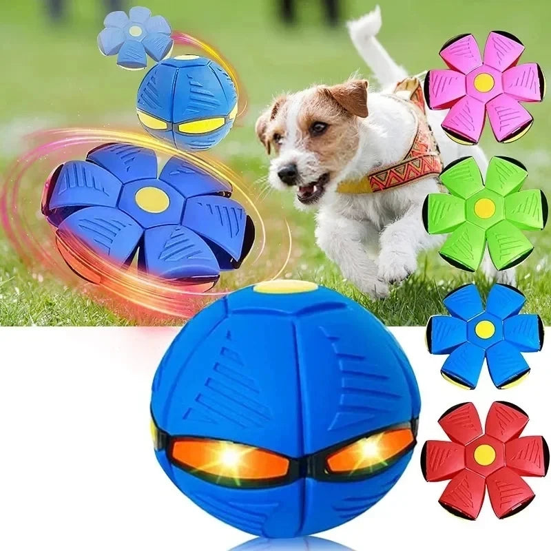 Flying Disc Interactive Flying Saucer Ball Dog Toys