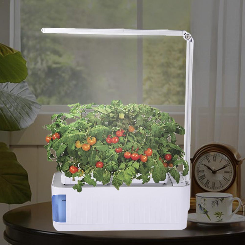 Vegetable Cultivation Plant Growth Light